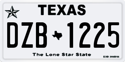 TX license plate DZB1225