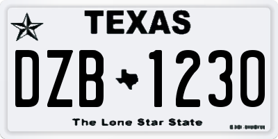 TX license plate DZB1230