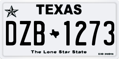 TX license plate DZB1273