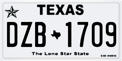 TX license plate DZB1709