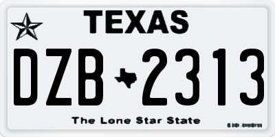 TX license plate DZB2313