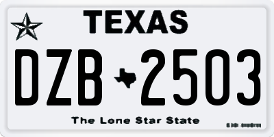 TX license plate DZB2503