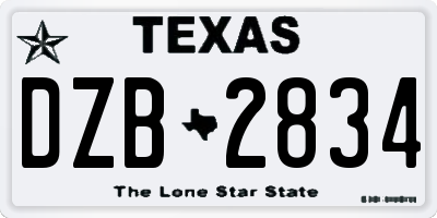TX license plate DZB2834