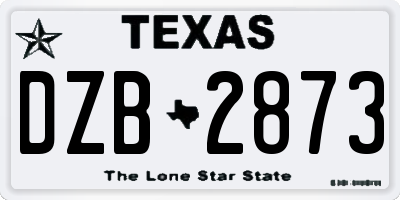 TX license plate DZB2873