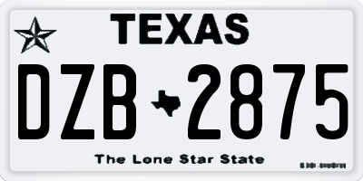 TX license plate DZB2875