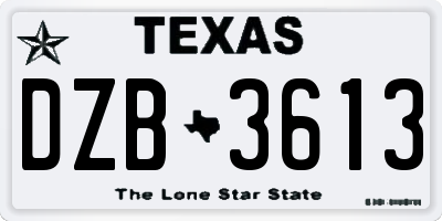 TX license plate DZB3613