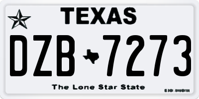TX license plate DZB7273