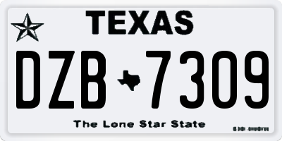 TX license plate DZB7309