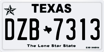 TX license plate DZB7313