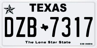 TX license plate DZB7317