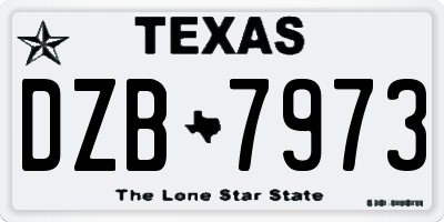 TX license plate DZB7973