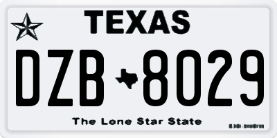 TX license plate DZB8029
