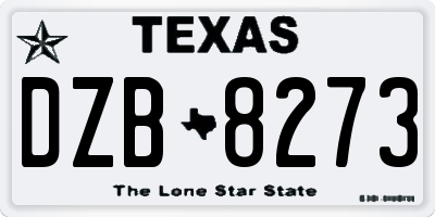 TX license plate DZB8273
