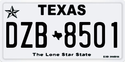 TX license plate DZB8501