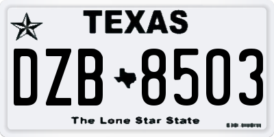 TX license plate DZB8503