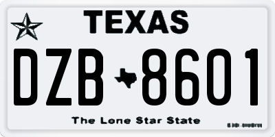 TX license plate DZB8601