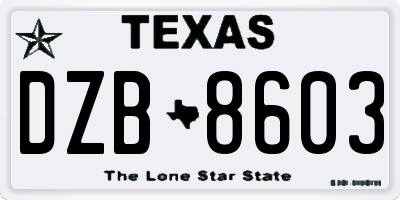 TX license plate DZB8603