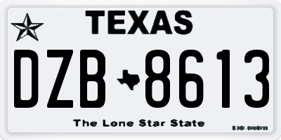TX license plate DZB8613