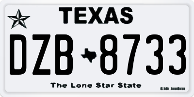 TX license plate DZB8733