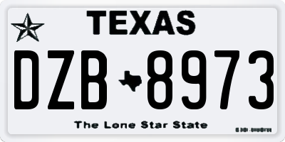 TX license plate DZB8973