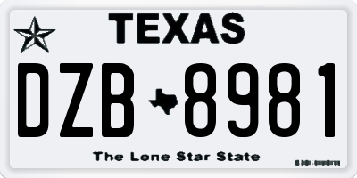 TX license plate DZB8981