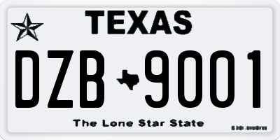 TX license plate DZB9001
