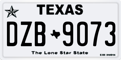 TX license plate DZB9073