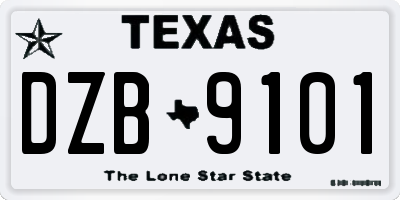 TX license plate DZB9101
