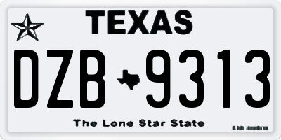 TX license plate DZB9313