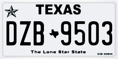 TX license plate DZB9503