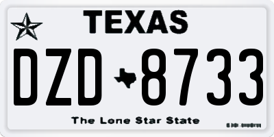 TX license plate DZD8733