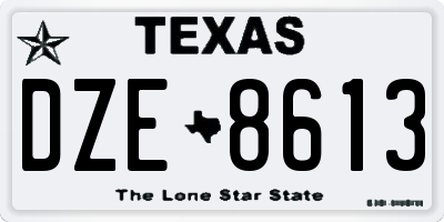 TX license plate DZE8613