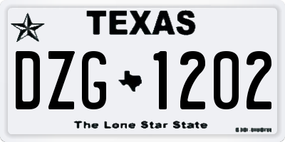 TX license plate DZG1202