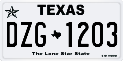 TX license plate DZG1203