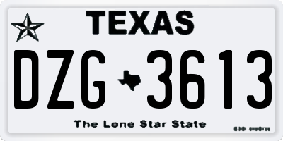 TX license plate DZG3613