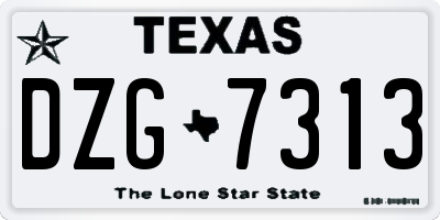 TX license plate DZG7313