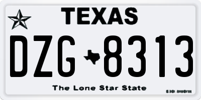 TX license plate DZG8313