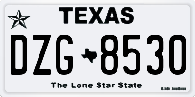 TX license plate DZG8530