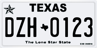 TX license plate DZH0123