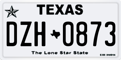 TX license plate DZH0873