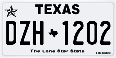 TX license plate DZH1202