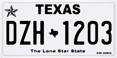 TX license plate DZH1203