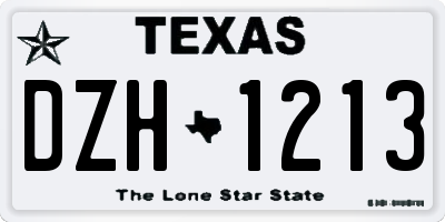 TX license plate DZH1213