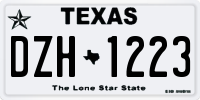 TX license plate DZH1223