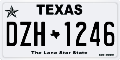 TX license plate DZH1246