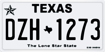 TX license plate DZH1273