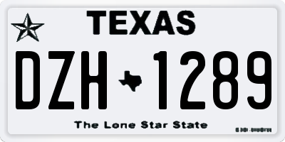 TX license plate DZH1289