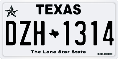 TX license plate DZH1314