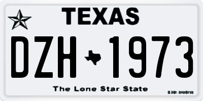 TX license plate DZH1973