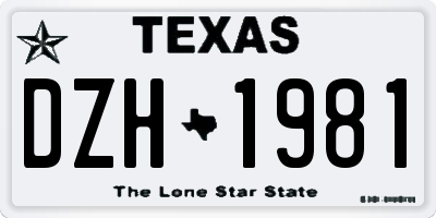 TX license plate DZH1981